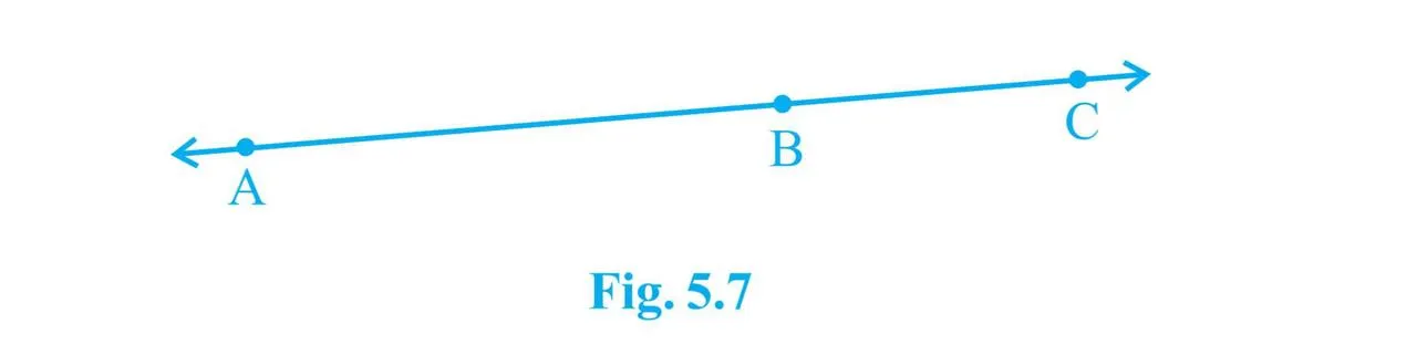 Fig 5.7 Euclid Geometry